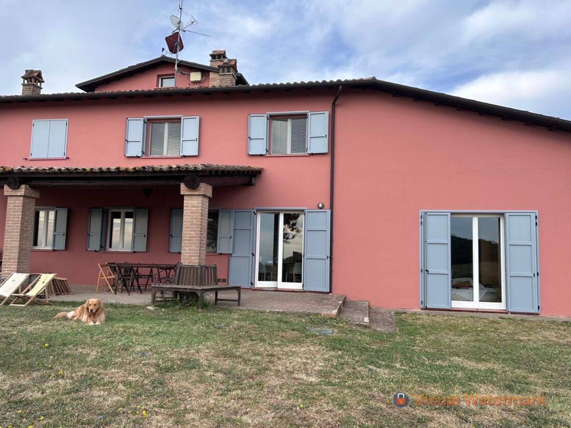 Paradiso Sulle Colline Parmensi Medesano Luaran gambar